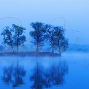 Wandbild-Blauer-Morgennebel-See-Wasser-Bäume-Insel